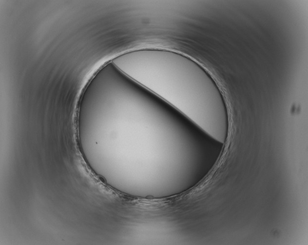 X0000110670864200906121059
