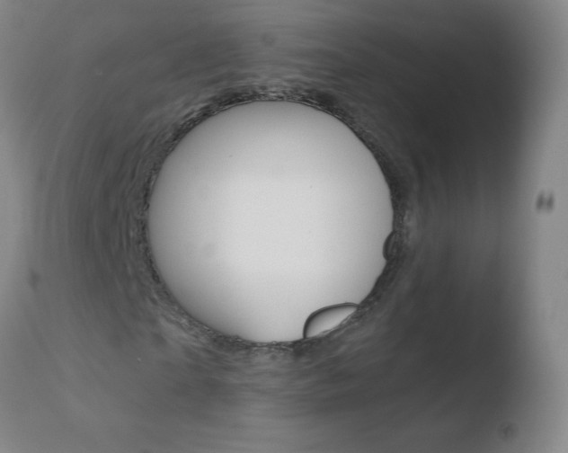 X0000110670865200906121058