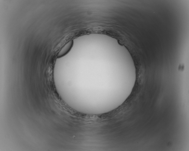 X0000110670866200906121058