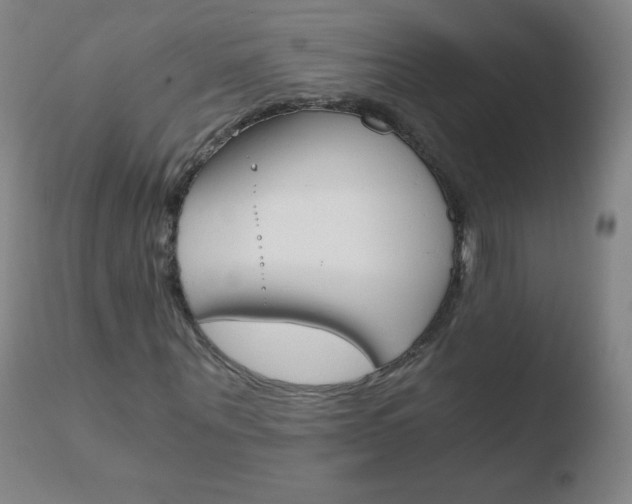X0000110670867200906121058