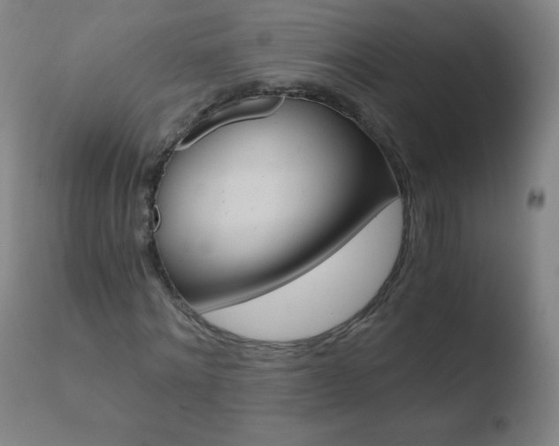 X0000110670868200906121058