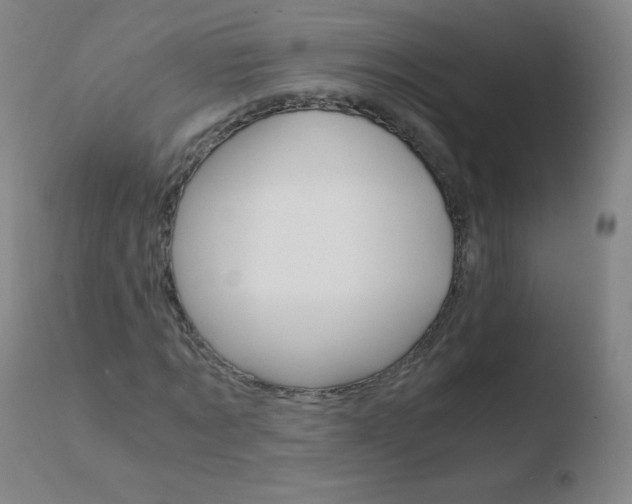 X0000110670869200906121058