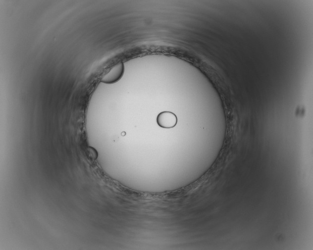 X0000110670870200906121058