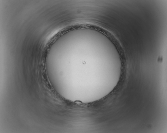 X0000110670871200906121058