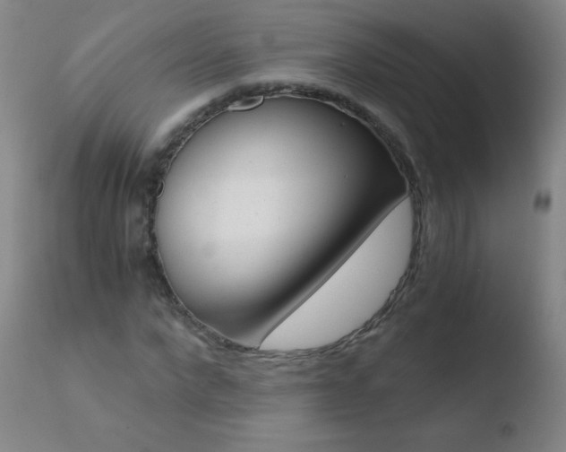 X0000110670872200906121058