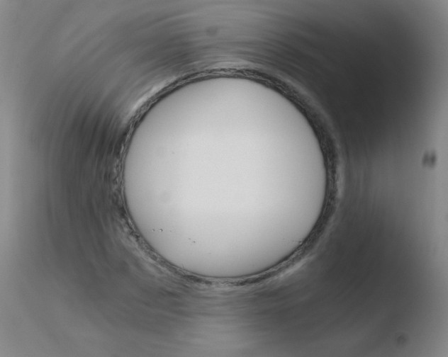 X0000110670873200906121058