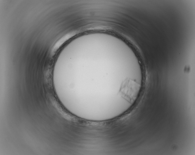 X0000110670874200906121058