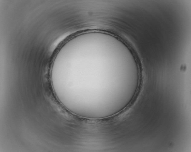 X0000110670875200906121058