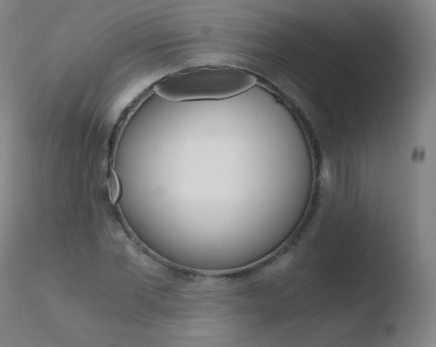 X0000110670877200906121058
