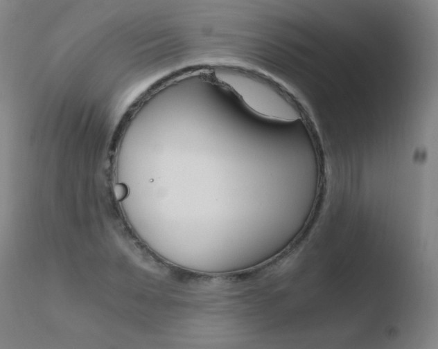 X0000110670879200906121058