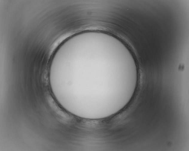 X0000110670882200906121058