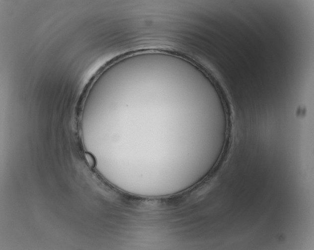 X0000110670883200906121058
