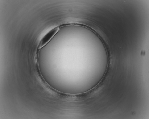 X0000110670885200906121058