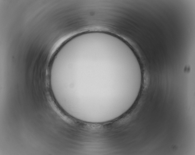 X0000110670886200906121058