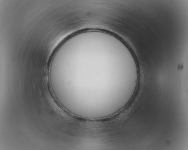 X0000110670887200906121058