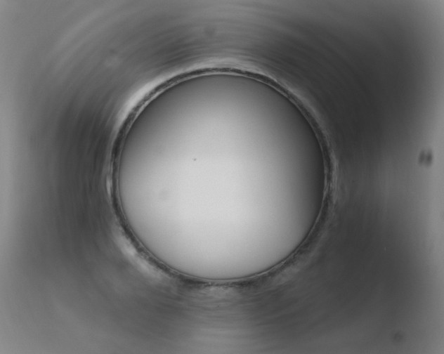 X0000110670888200906121058