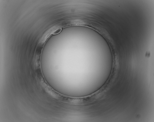 X0000110670889200906121058