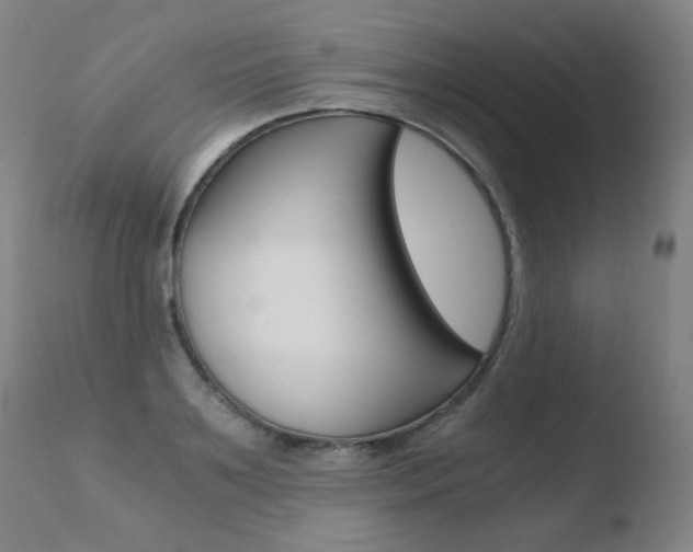 X0000110670891200906121058