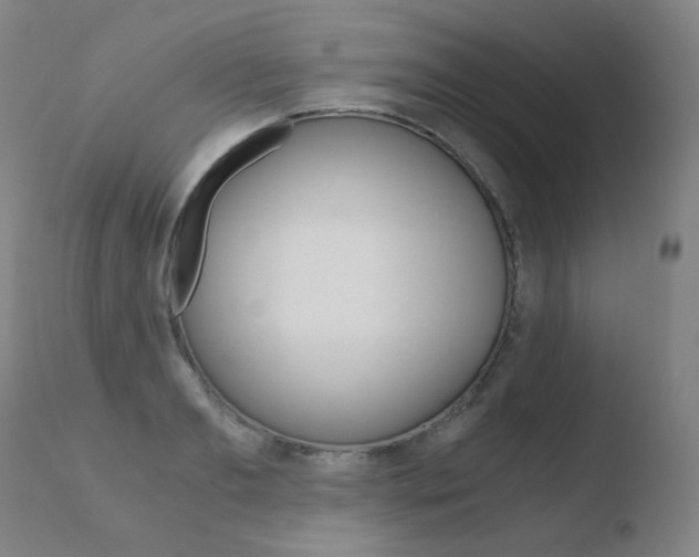 X0000110670893200906121058