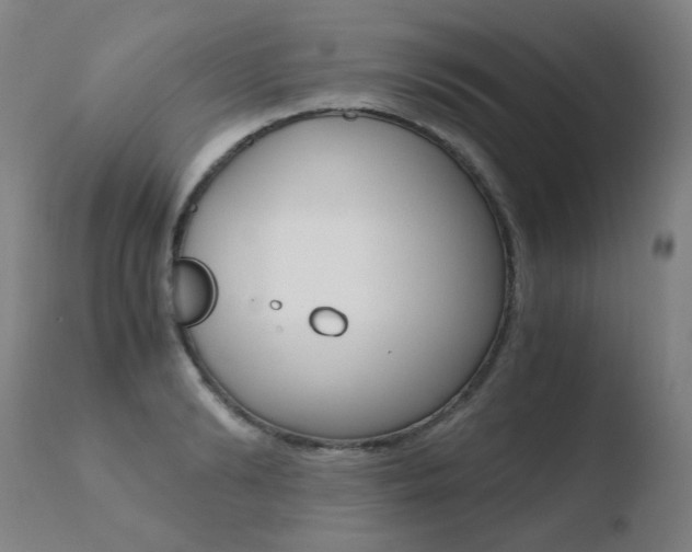 X0000110670894200906121058