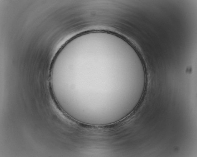 X0000110670895200906121058