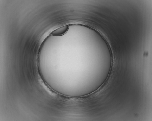 X0000110670898200906121058