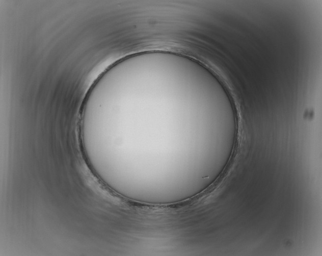 X0000110670899200906121058