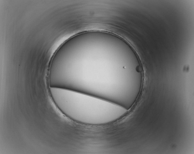 X0000110670901200906121058