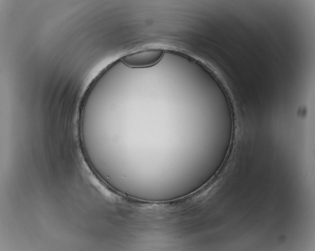 X0000110670902200906121058