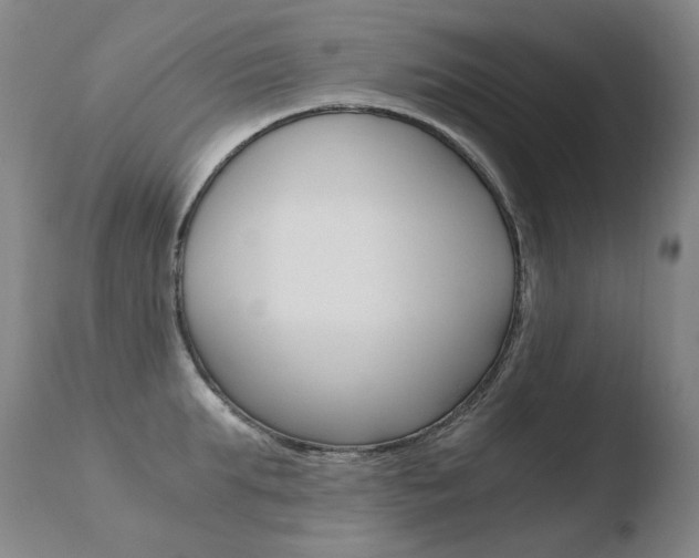 X0000110670903200906121058