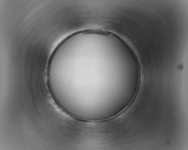 X0000110670904200906121058