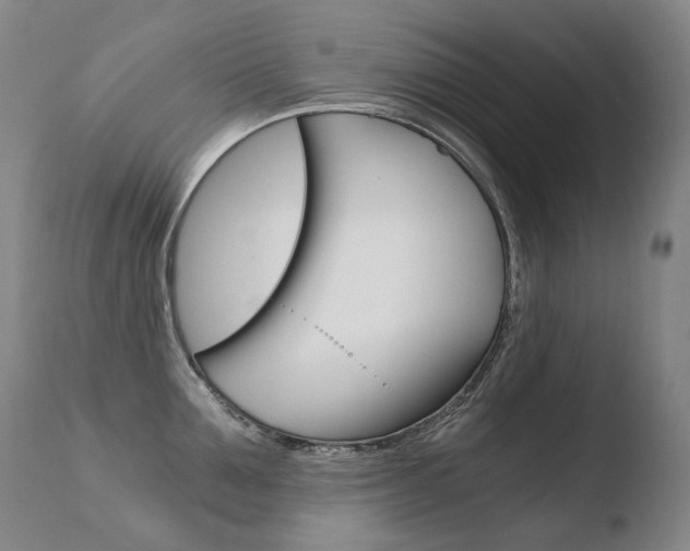 X0000110670907200906121058