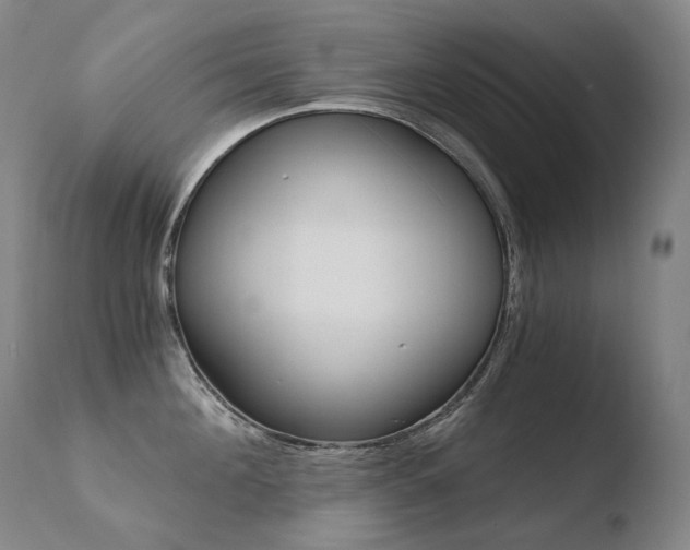X0000110670908200906121058