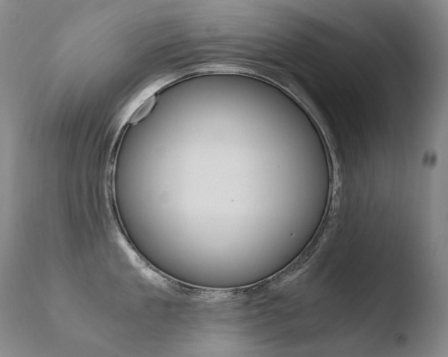 X0000110670909200906121058