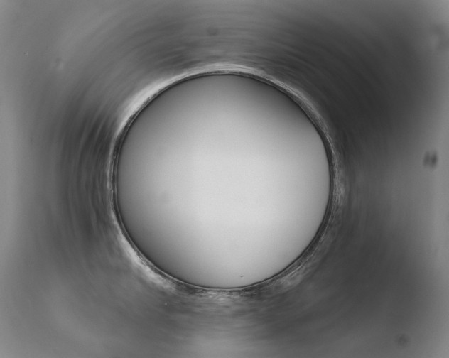 X0000110670910200906121058