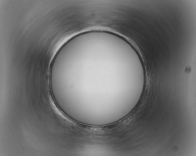X0000110670911200906121058