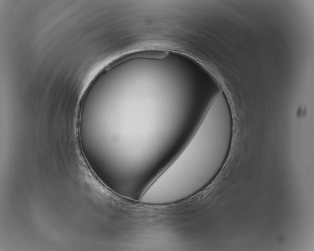 X0000110670912200906121058