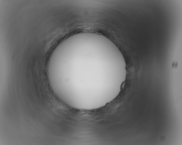 X0000110670913200906121057