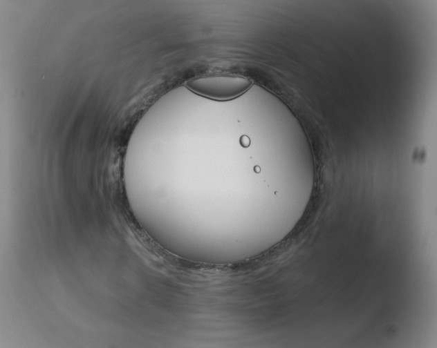 X0000110670914200906121057