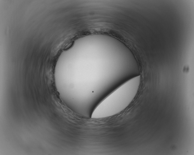 X0000110670915200906121057