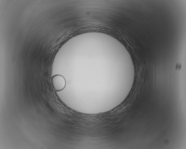 X0000110670916200906121057