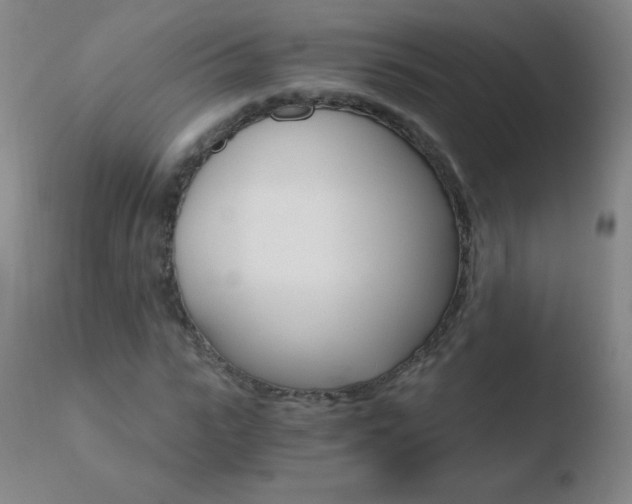 X0000110670919200906121057