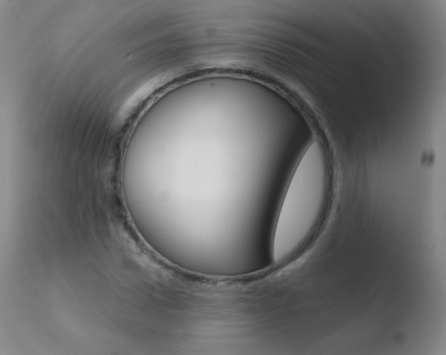 X0000110670922200906121057