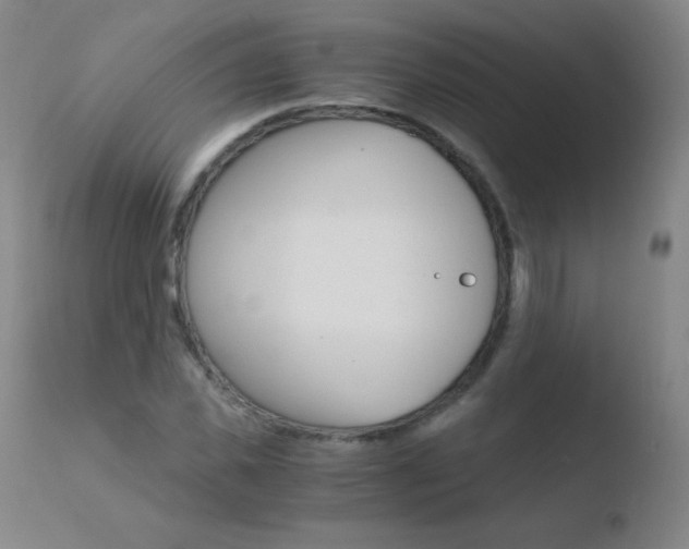 X0000110670925200906121057