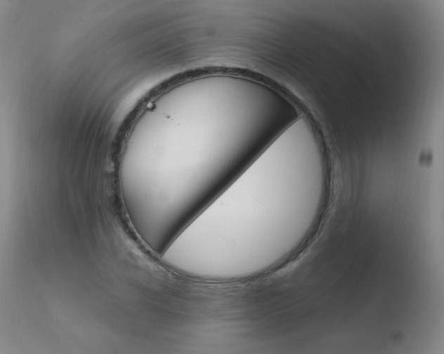 X0000110670926200906121057