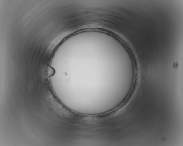 X0000110670929200906121057