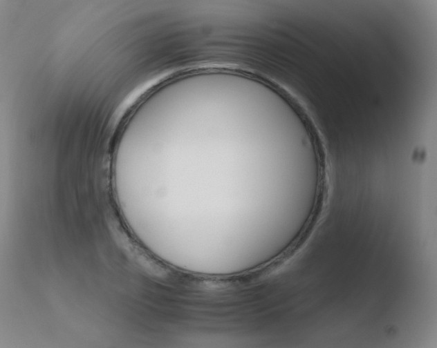 X0000110670933200906121057