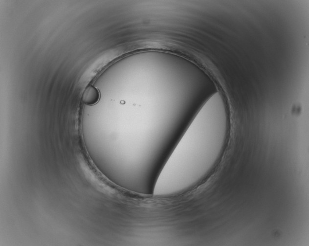 X0000110670938200906121057