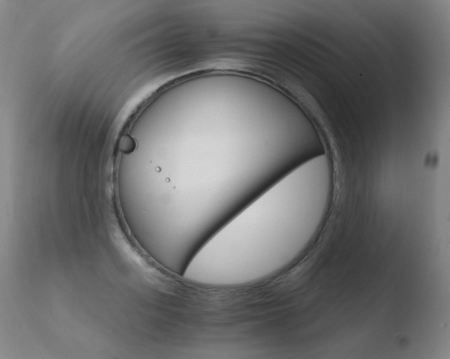 X0000110670939200906121057
