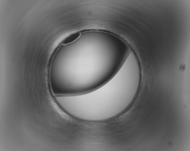 X0000110670942200906121057